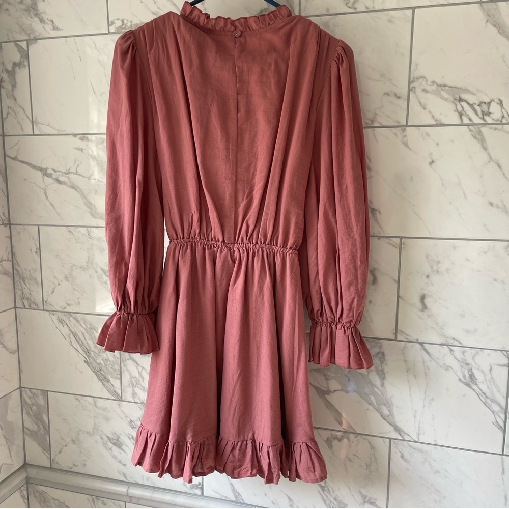 NWT Rose Ruffled Mini Dress - Picture 3 of 4